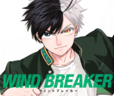 Wind Breaker